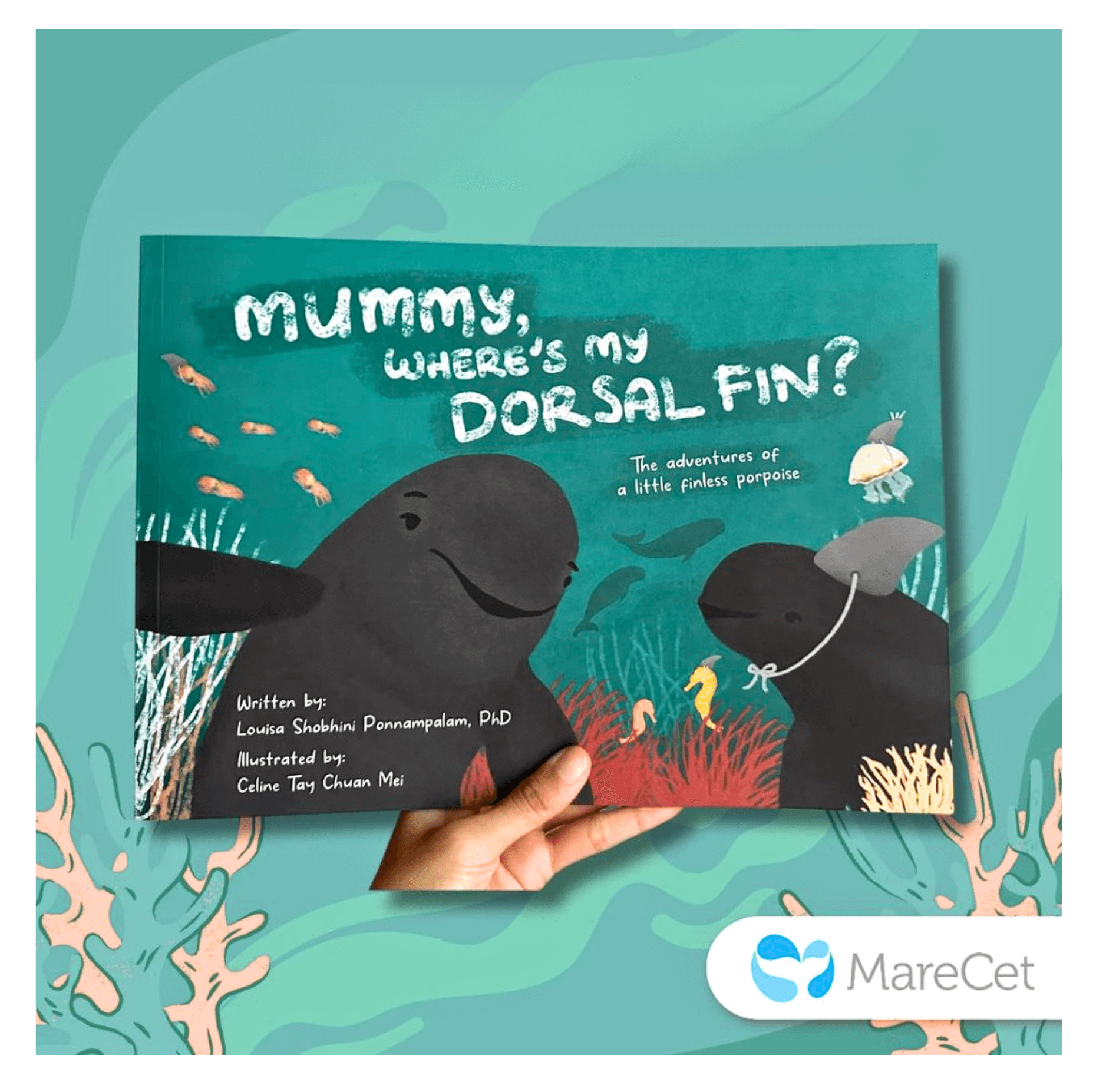 MareCet : Mummy, Where&