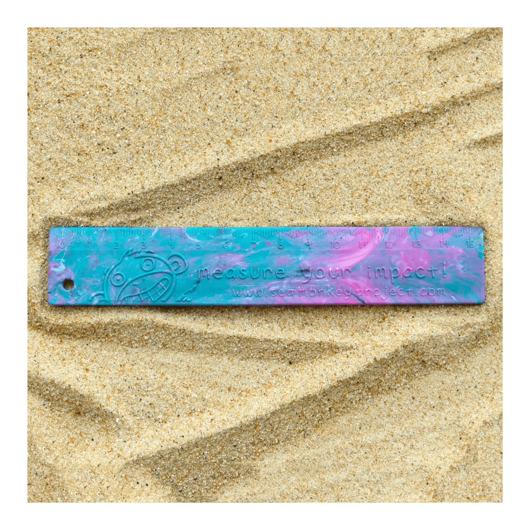 100% Upcycled Ruler