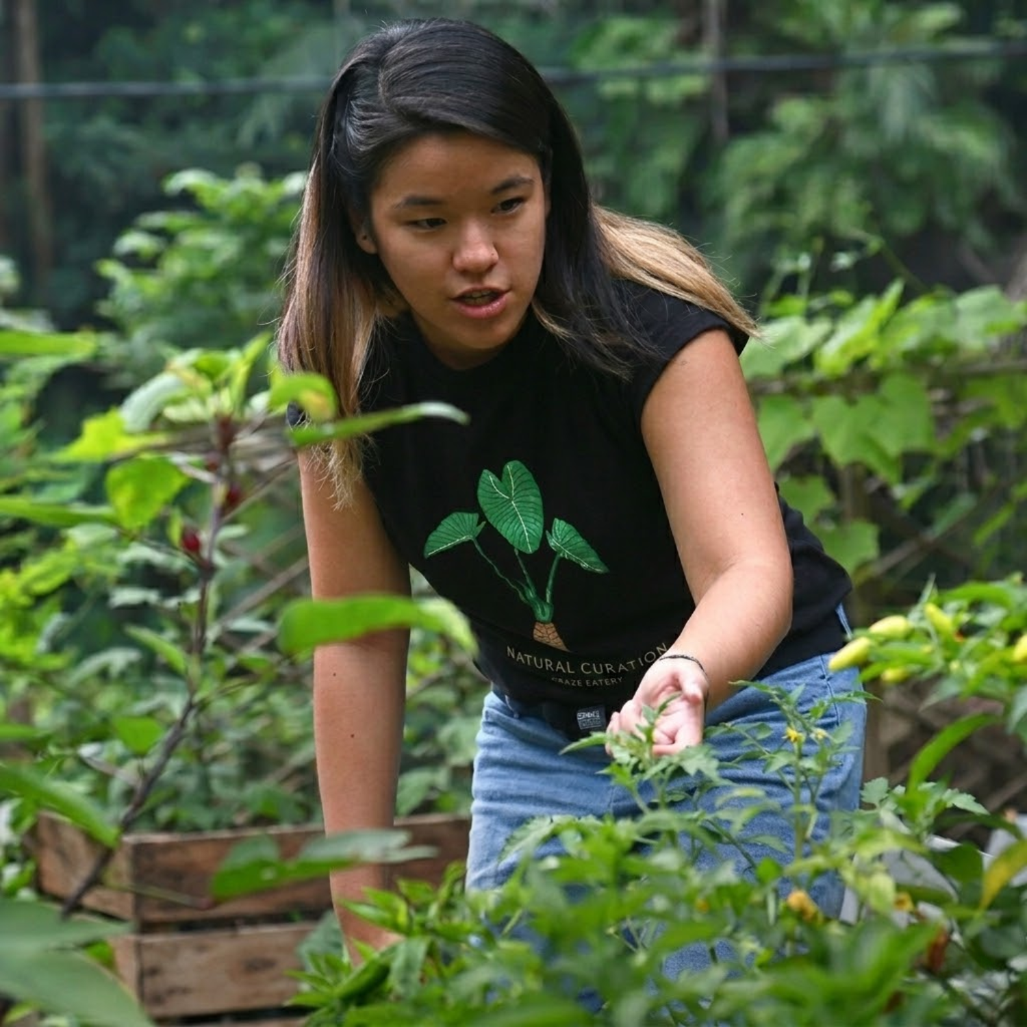 Eats, Shoots & Roots