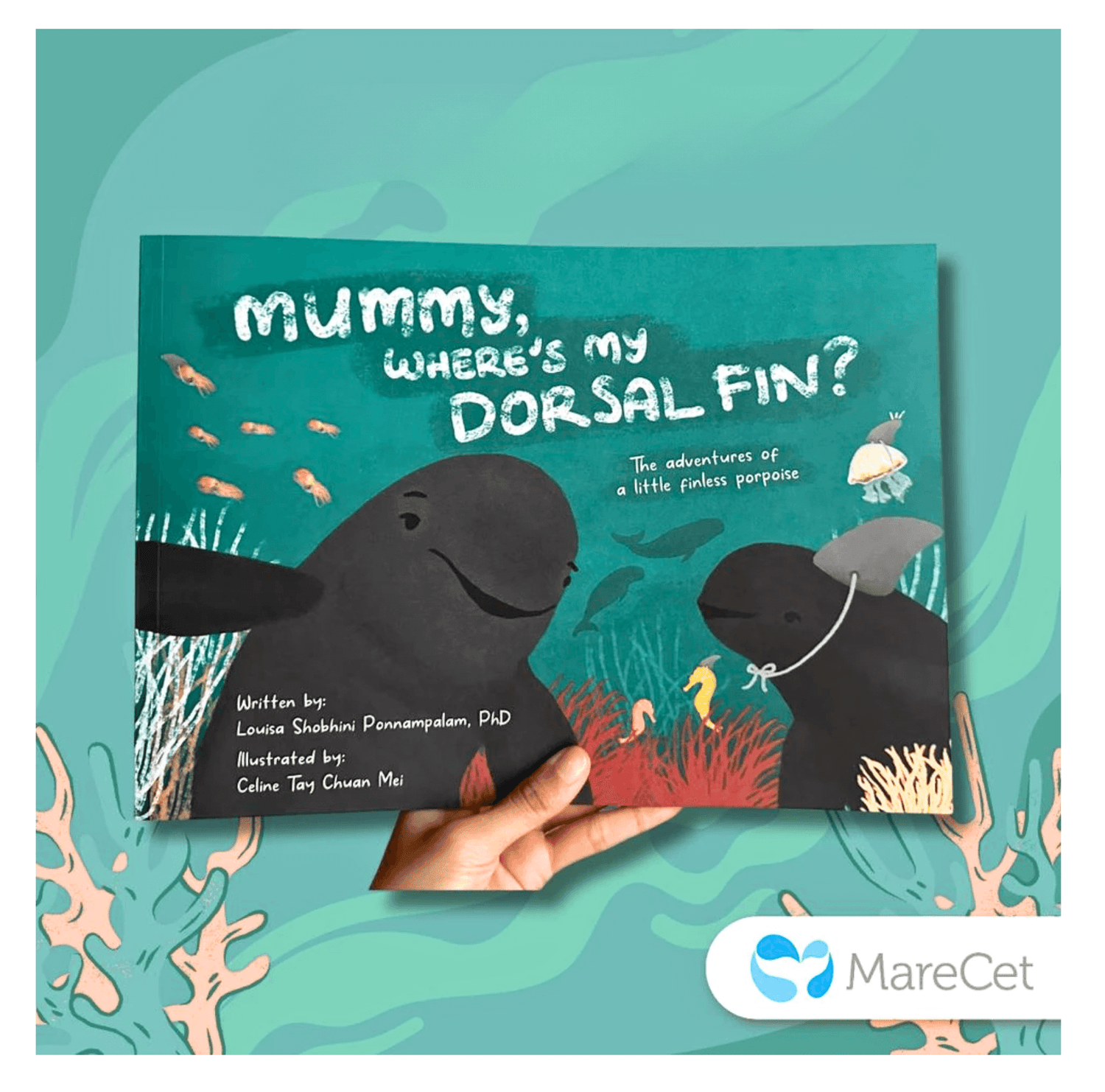 MareCet : Mummy, Where&