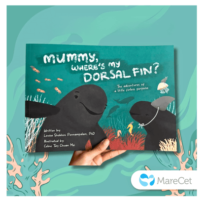 MareCet : Mummy, Where&