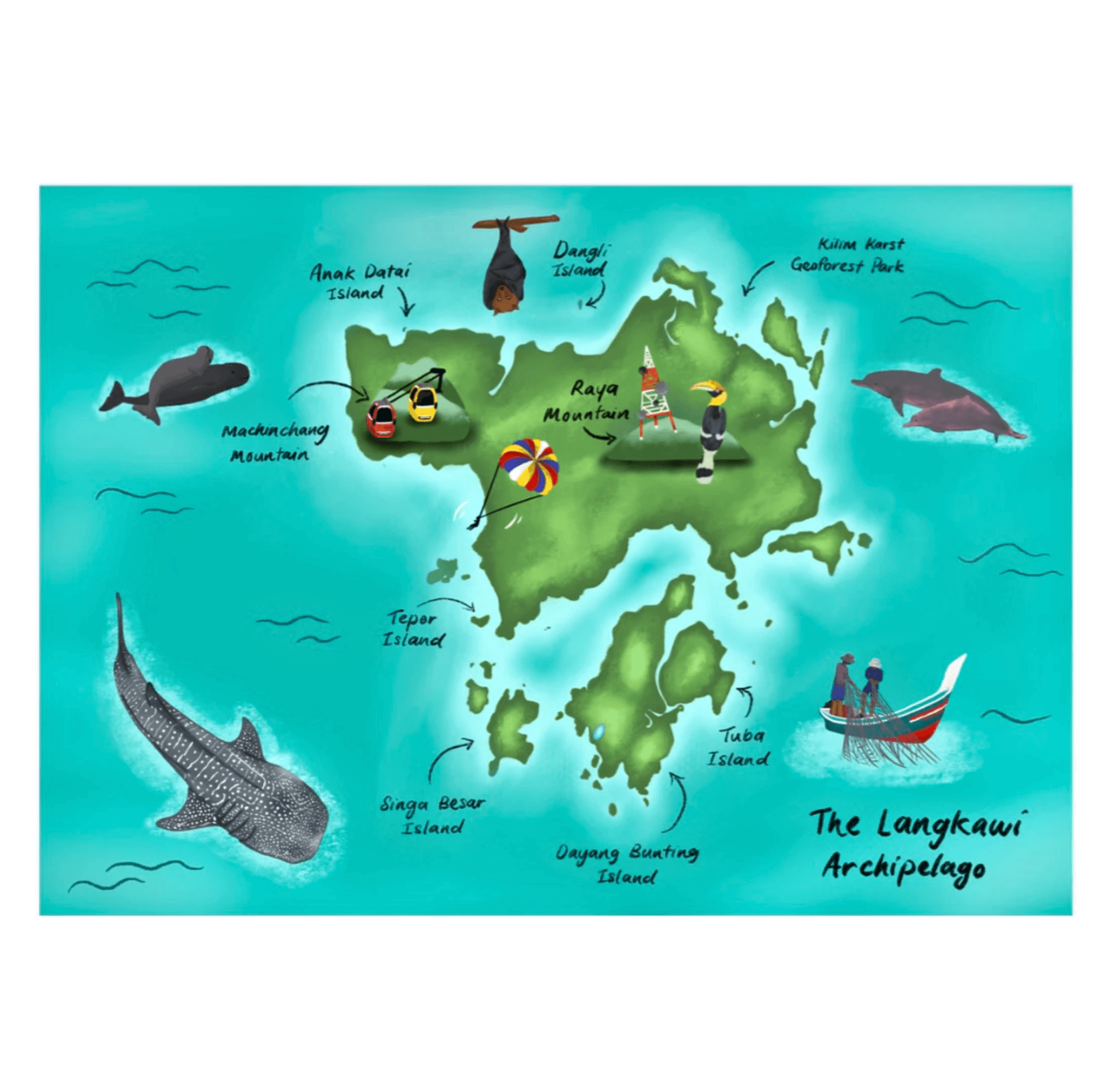 MareCet : Mummy, Where&