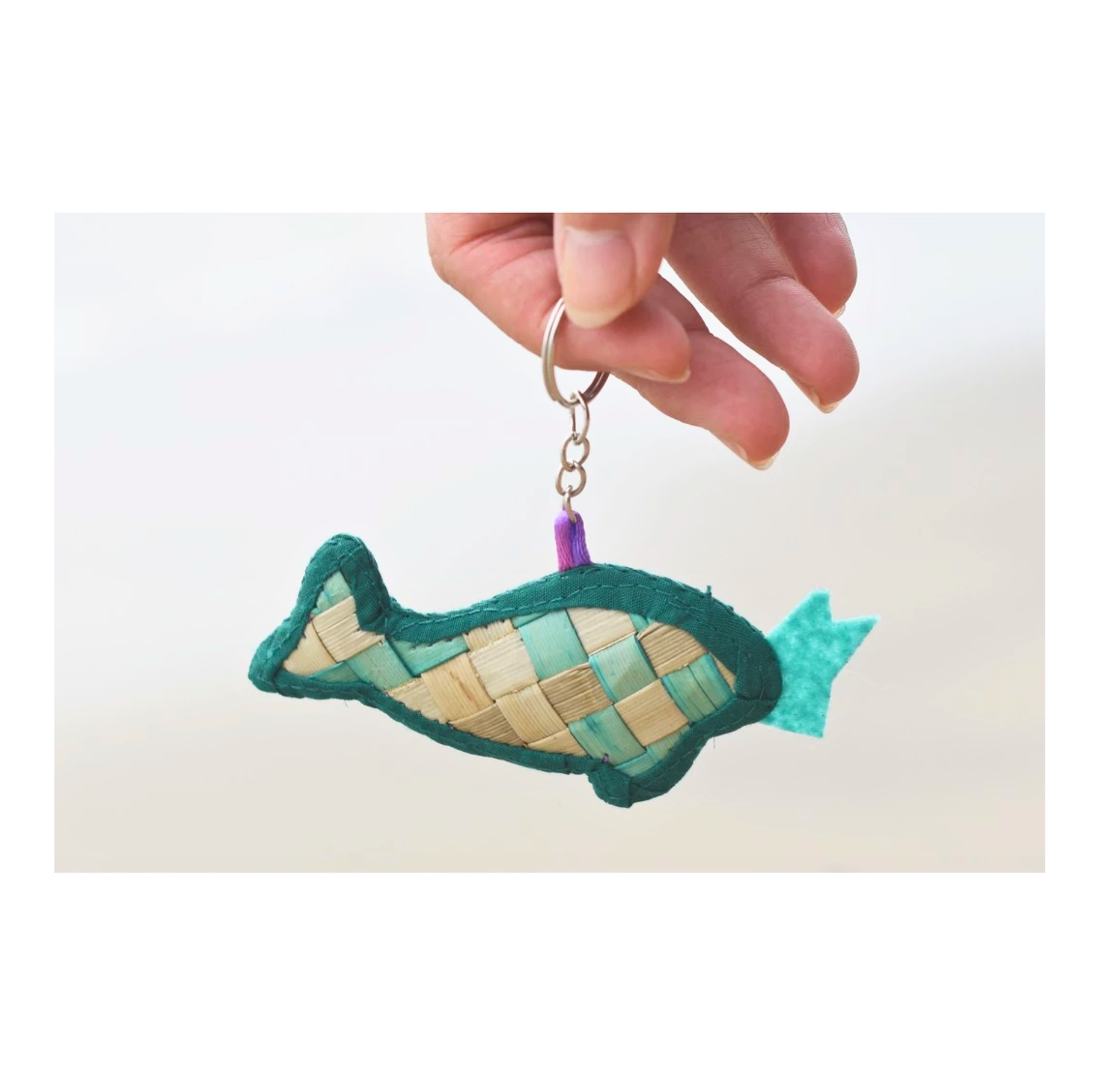 MareCet : Conserweavetion Pals