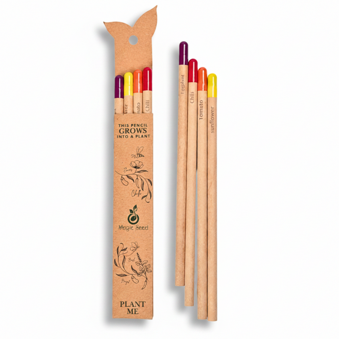 Magic Seed : Seed Color Pencils