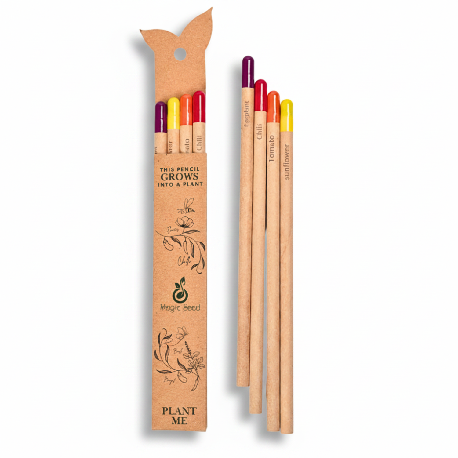 Magic Seed : Seed Color Pencils