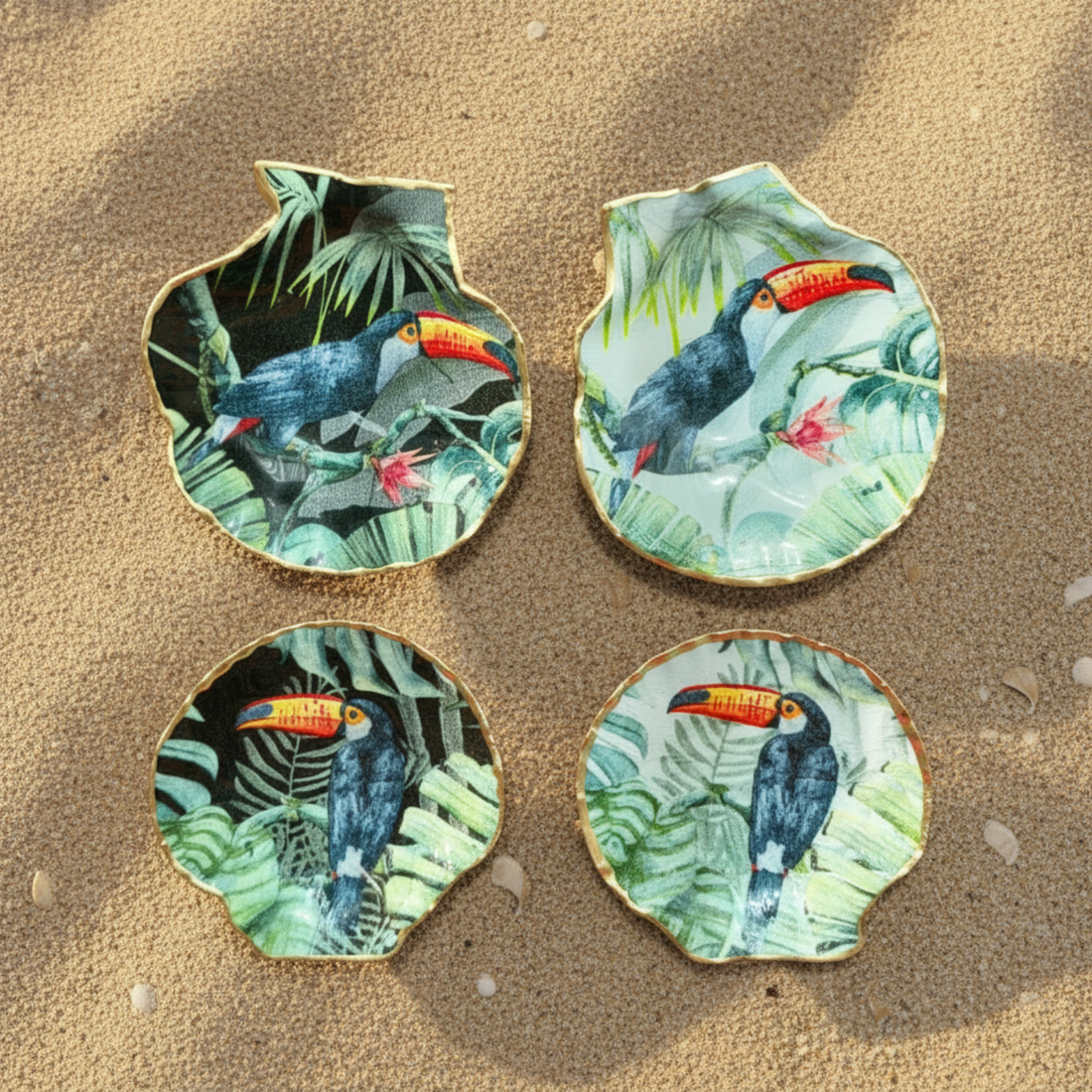 Lavish Lifestyle - Scallop Shell : Small (A)