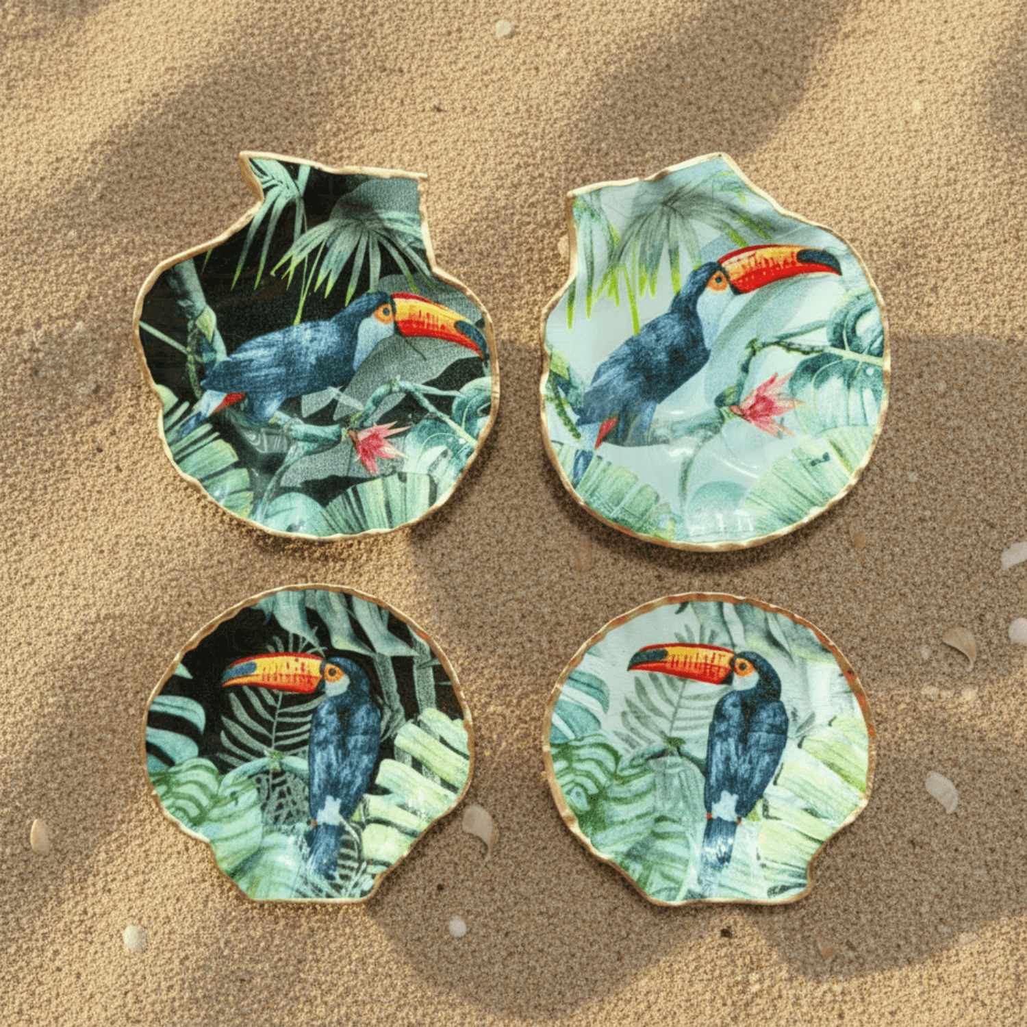 Lavish Lifestyle - Scallop Shell : Small (A)