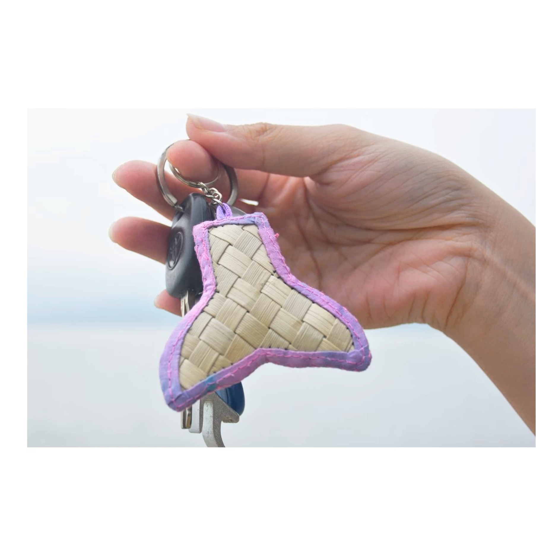 MareCet : Conserweavetion Pals