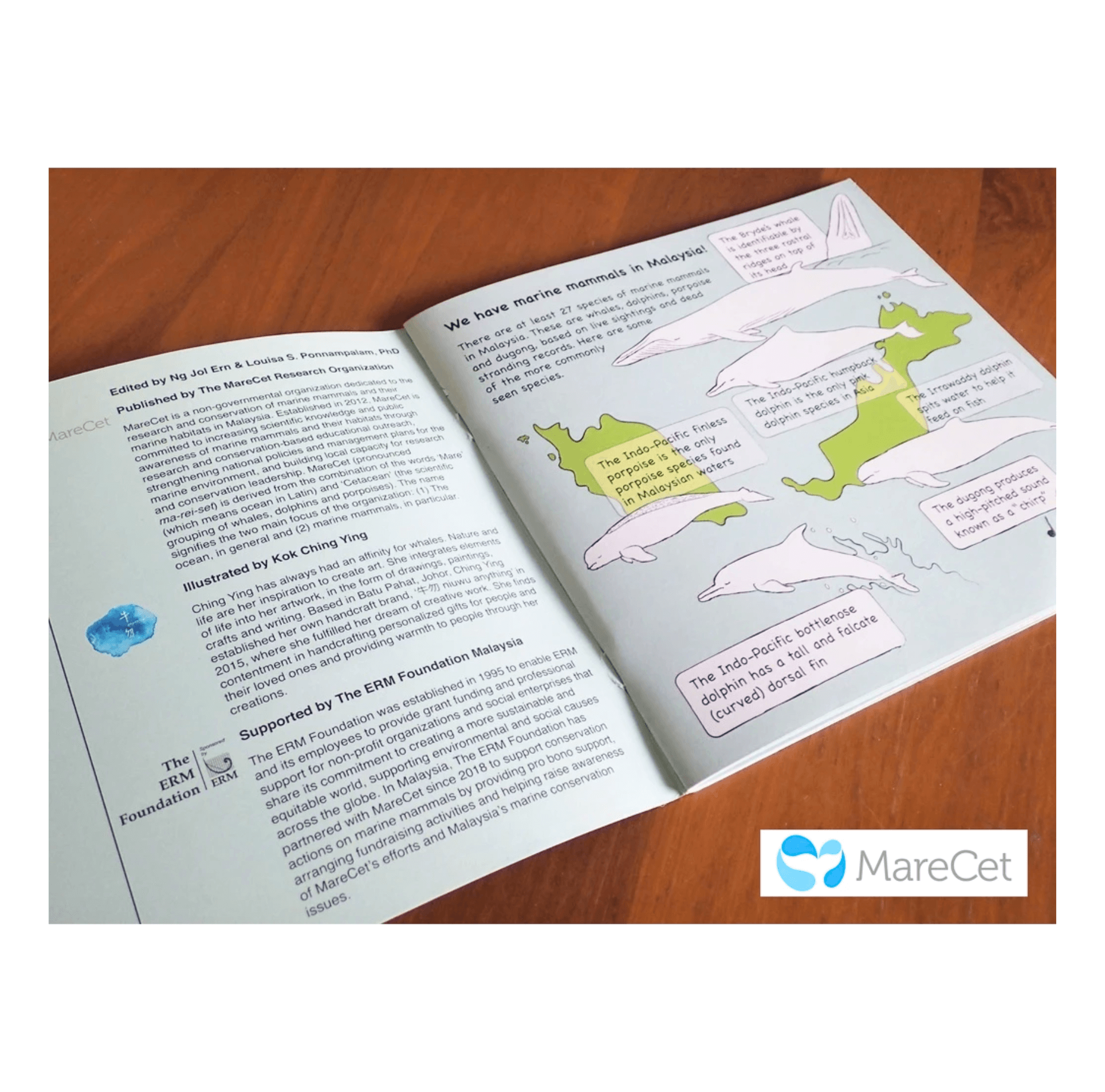 MareCet : Fintastic Marine Mammals &amp; Where to Find Them?