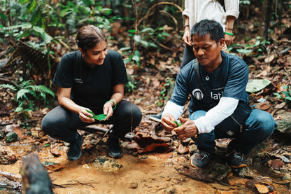 Serendah Indigenous Explorations with the Orang Asli (Hike + Lunch bundle) Experience