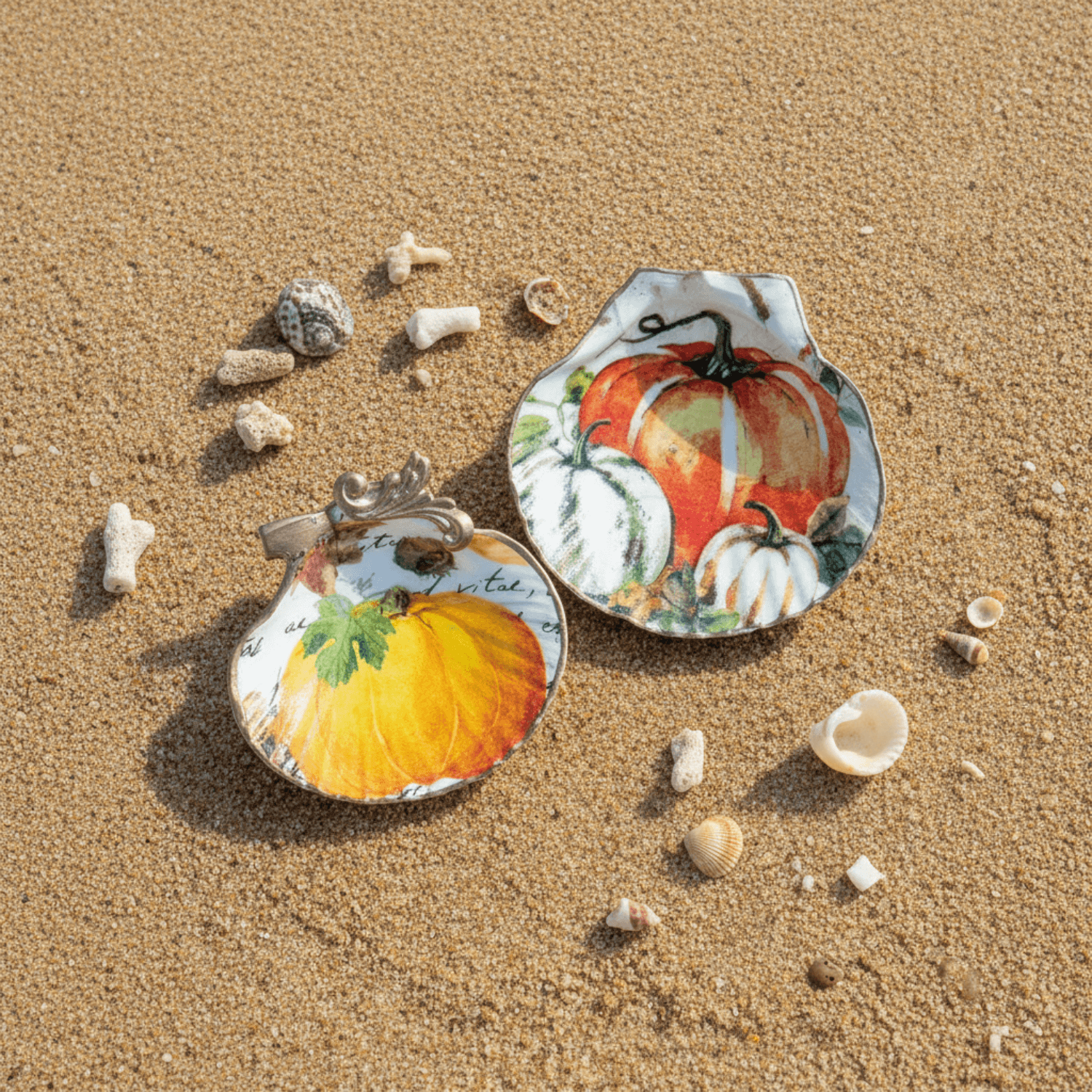Lavish Lifestyle - Scallop Shell : Small (B)
