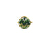An image of the EarthHeir_Daun_DolphinRing_002.jpg by Earth Heir