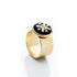 An image of the GLOW_RING_GOLD_BLACK_ARAB.jpg by Earth Heir